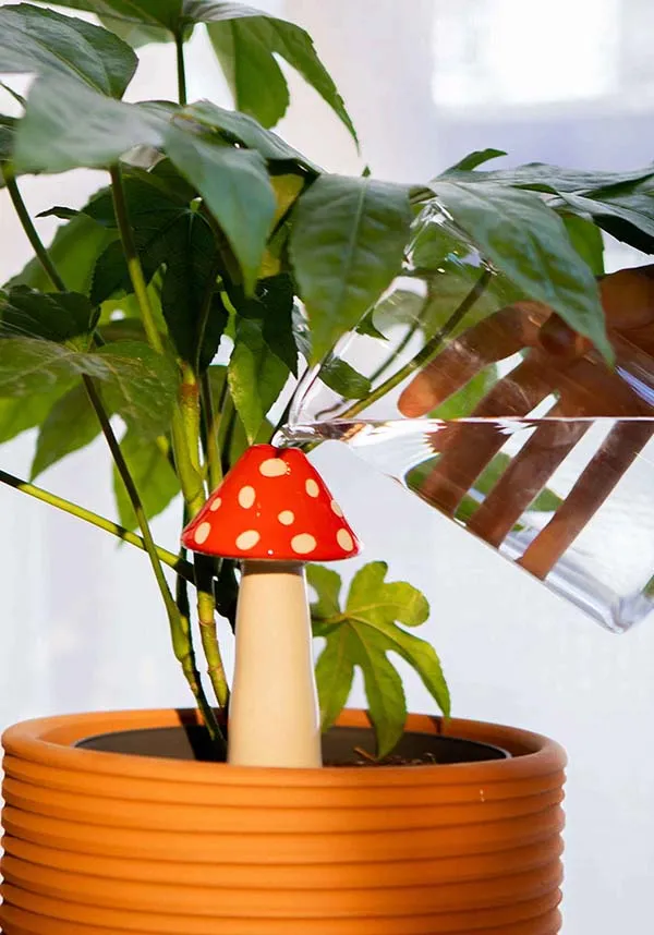 Amanita | WATERING SYSTEM