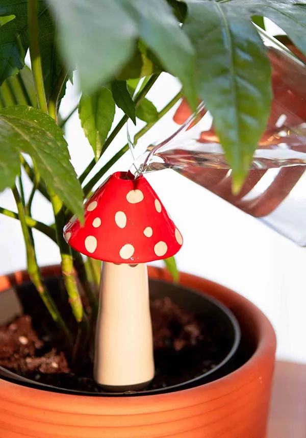 Amanita | WATERING SYSTEM