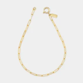 Cairo Link Anklet in Gold