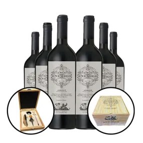 KIT 6 Gran Enemigo Single Vineyard Gualtallary Cabernet Franc 2016